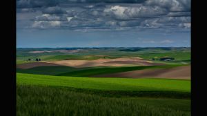 Palouse-05